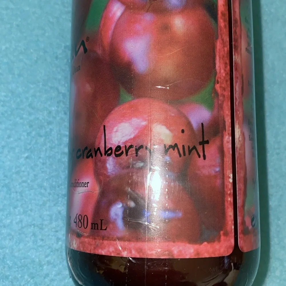 WEN by Chaz Dean Winter Cranberry Mint cleansing conditioner NEW size 16 oz.